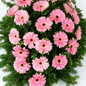 Bukette Katalog Nr.9