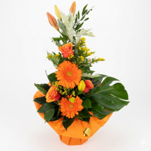 Hochstrauß in orange