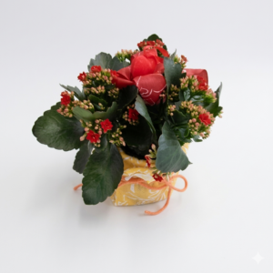 Kalanchoe groß mit deko