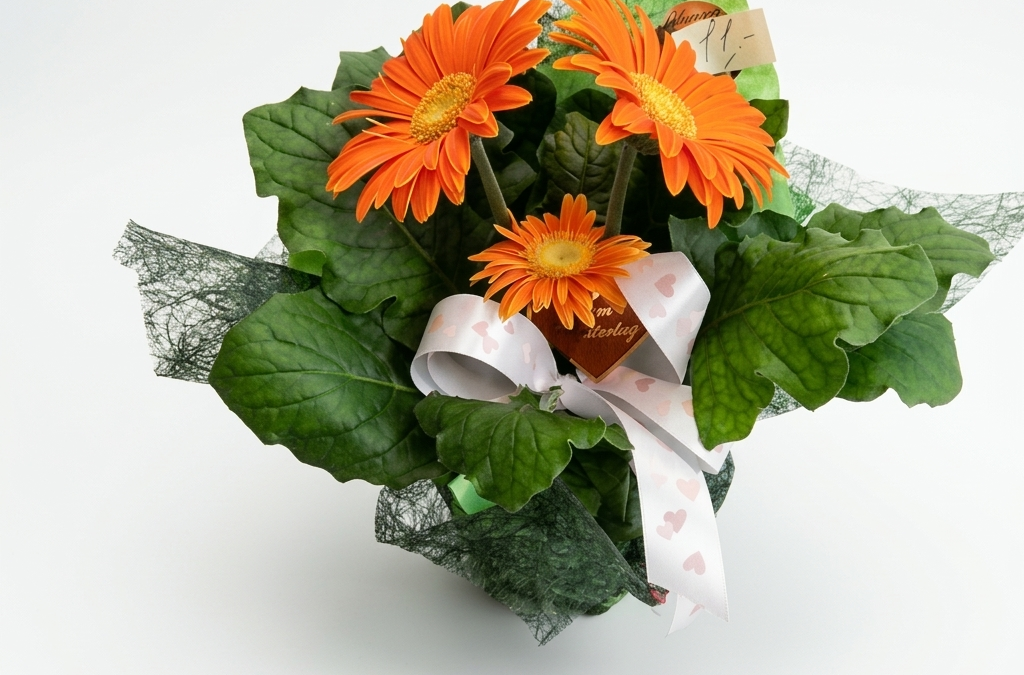 Gerbera mit deko