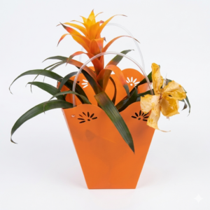 Bromelie in der tütte