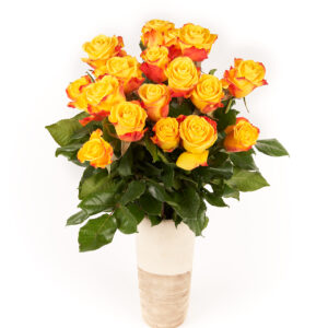 Rose gelb/orange - kurz