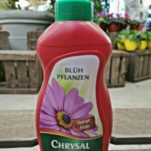 Blühpflanzen Dünger 500ml