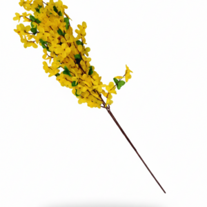 Forsythien