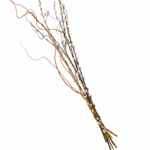 Palmkätzchen gemischt