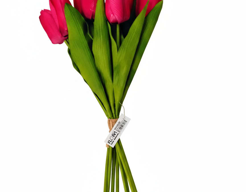 Tulpen