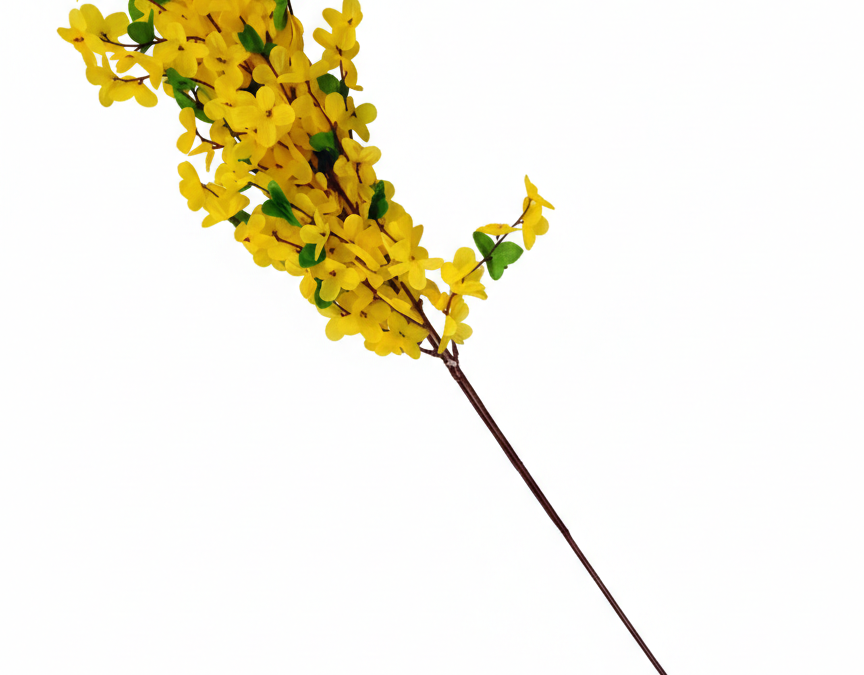 Forsythien