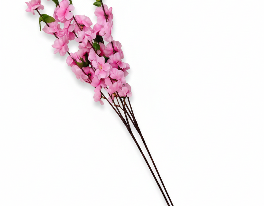 Kirschblüten