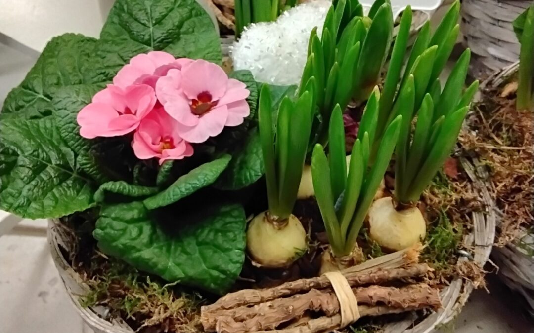 Frühlingskorb mit Herz