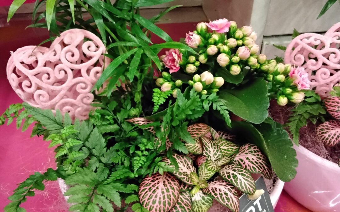 Keramikschale mit deko