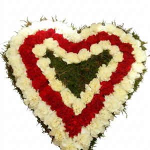 Herz mit Moos Katalog Nr.45