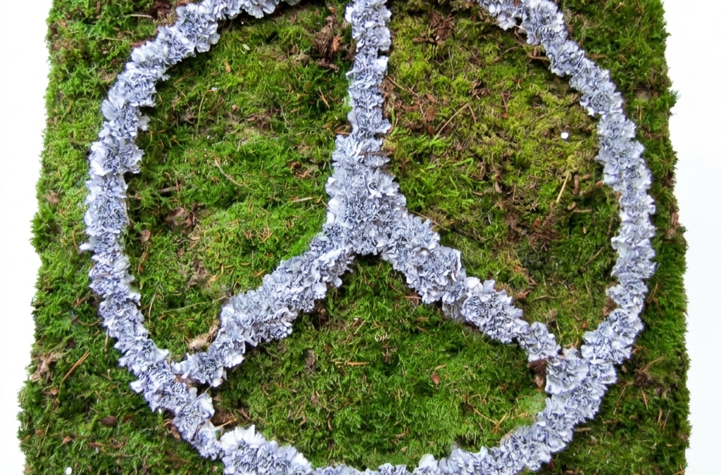 Sonderformen Katalog Nr.67