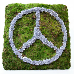 Sonderformen Katalog Nr.67