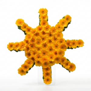 Sonderformen Katalog Nr.66