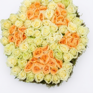 Sonderformen Katalog Nr.70