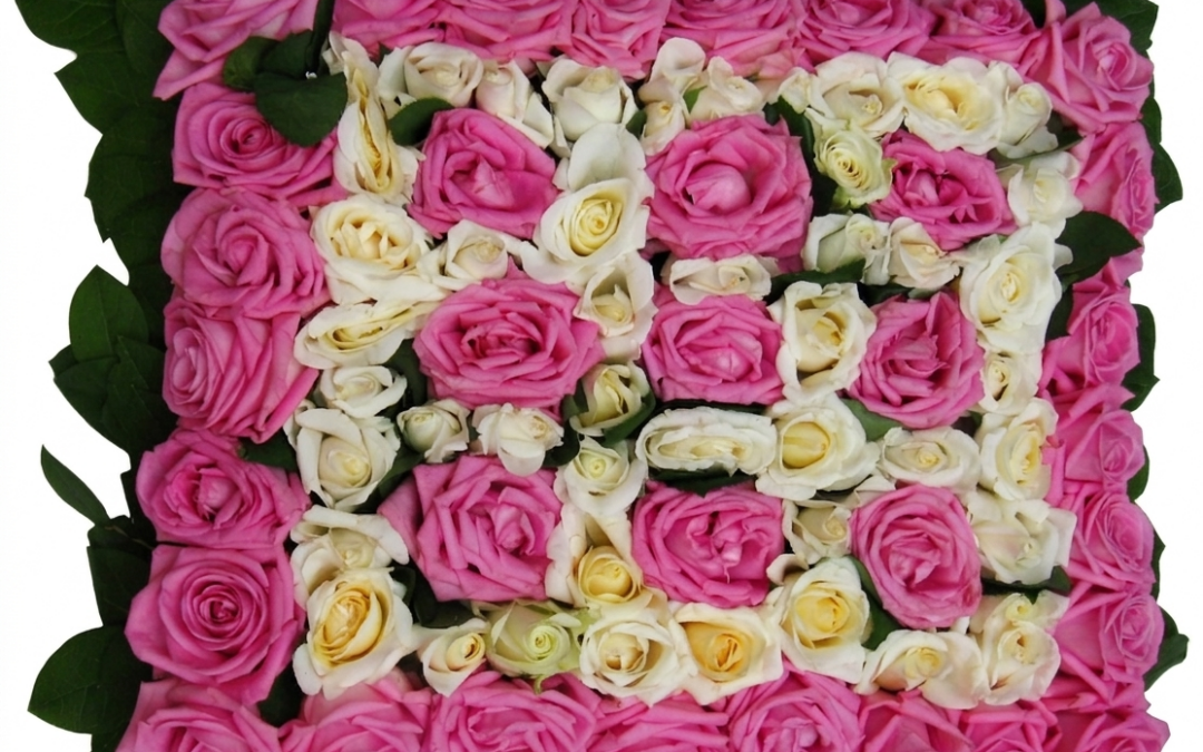 Sonderformen Katalog Nr.75