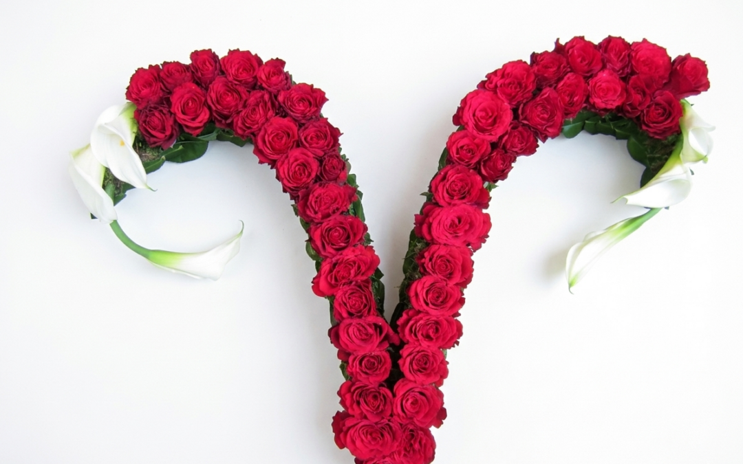 Sonderformen Katalog Nr.76