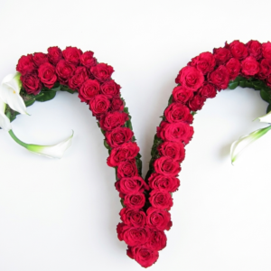 Sonderformen Katalog Nr.76