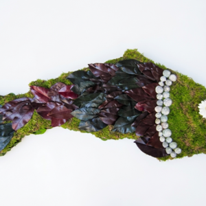 Sonderformen Katalog Nr.82