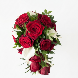 Bild 06